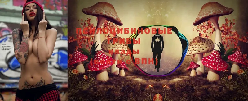 Галлюциногенные грибы Cubensis  Далматово 